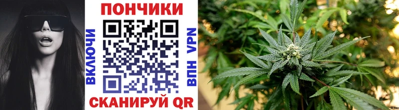 Купить где Батайск Бошки марихуана White Widow